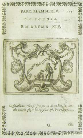241