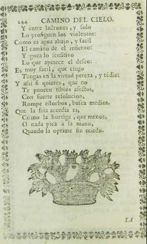 244