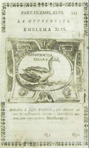 245