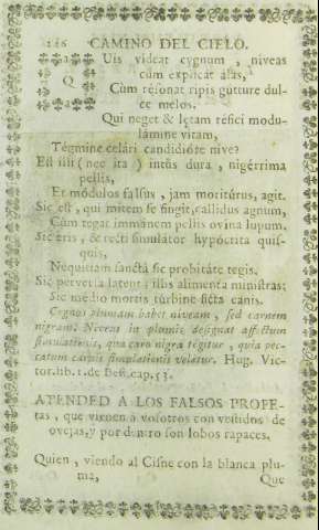 246
