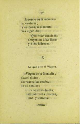 26