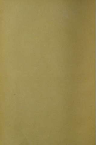 IV