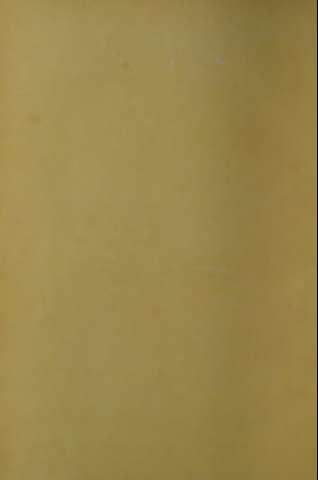 VIII