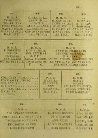 87