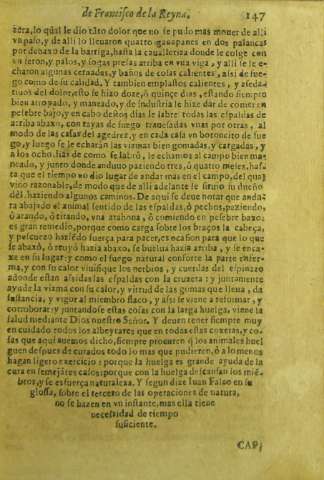 147