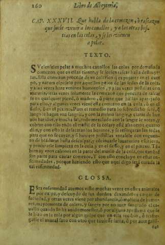 160
