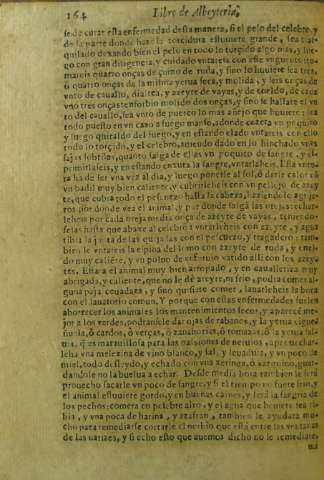 164