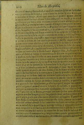 210