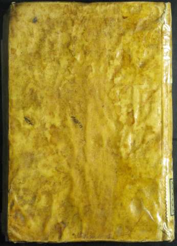 Tapa