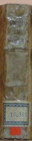 Lomo