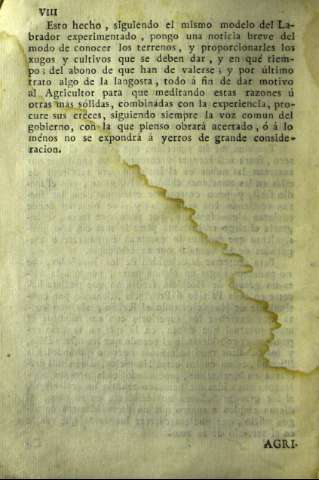 VIII