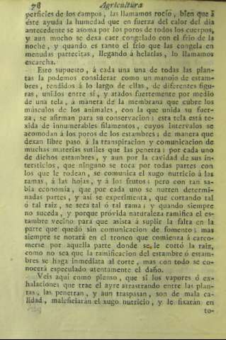78