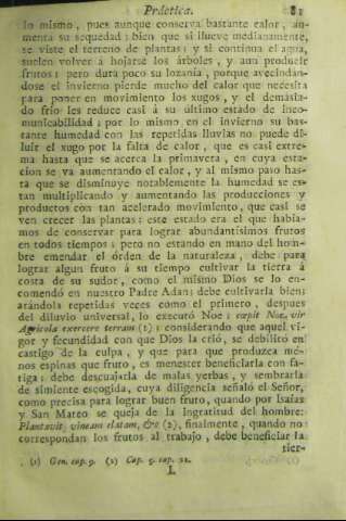 81