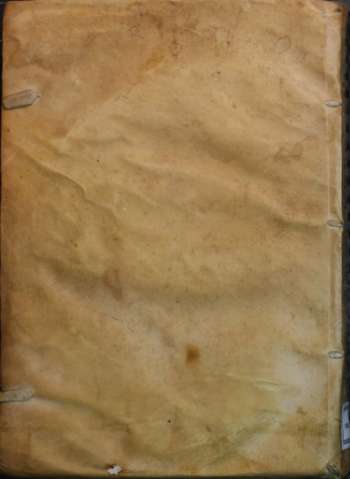 Tapa