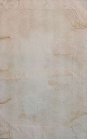 Guarda
