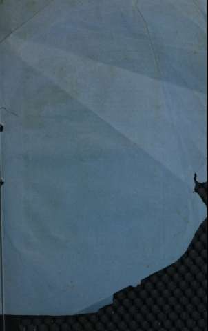 Guarda