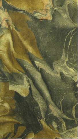 Guarda