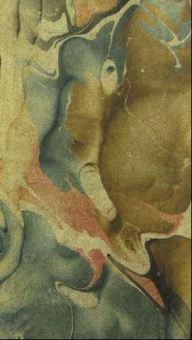 Guarda