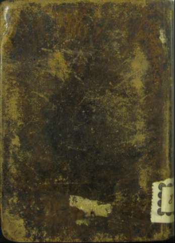 Tapa