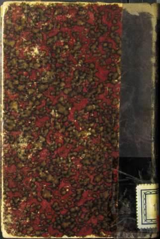 Tapa