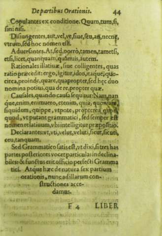 44