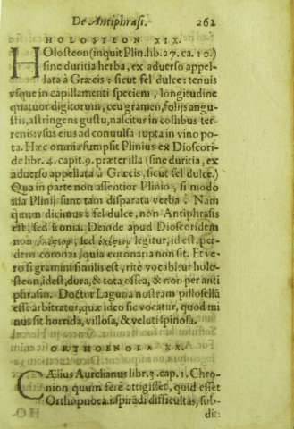 262