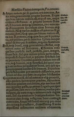 CCXXXI