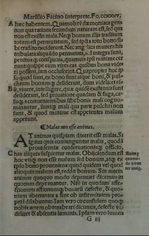 CCXXXV