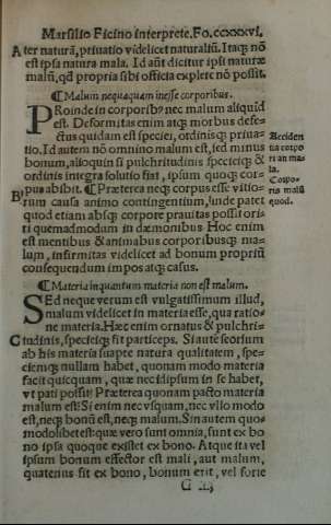 CCXXXVI