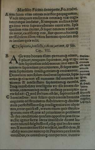 CCXLVI