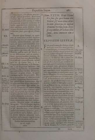 481