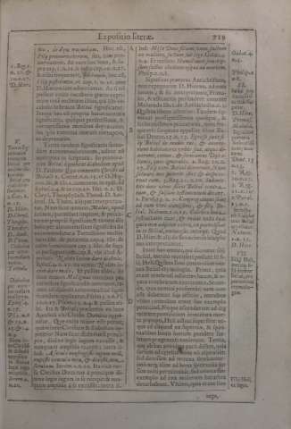 719