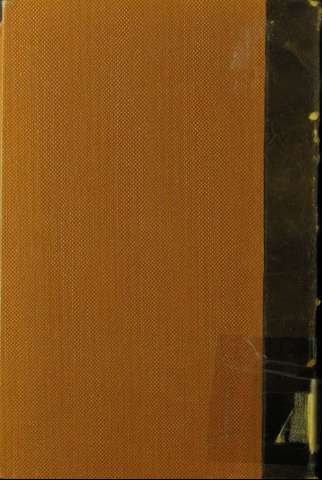 Tapa