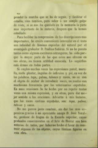 VIII
