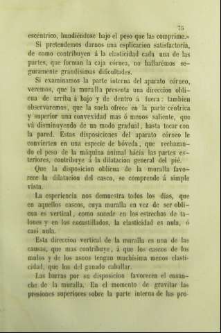 75