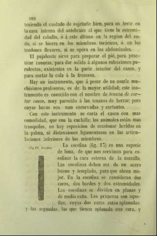 102