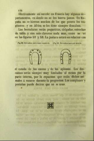 424