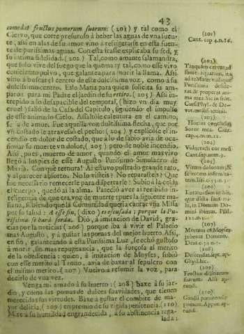 43