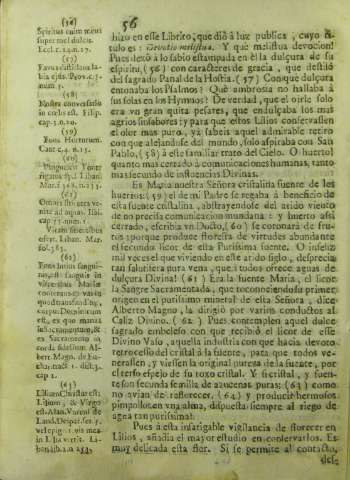 56