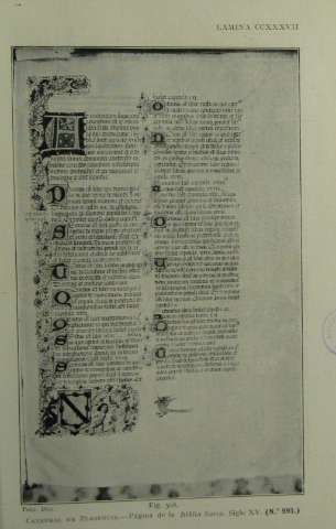 CCXXXVII