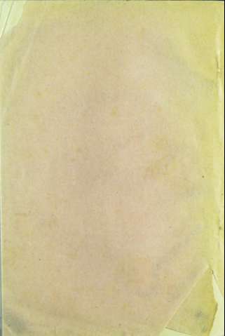 Tapa