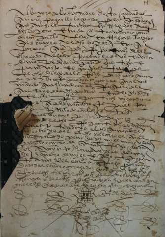 11
