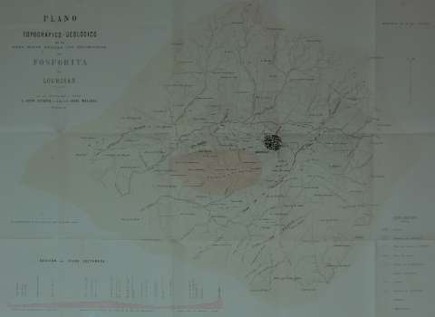 Lám. 3