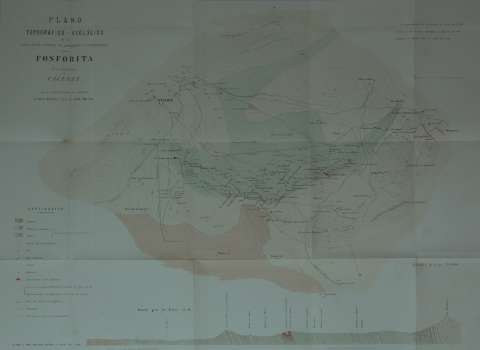 Lám. 4