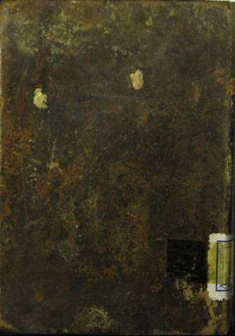 Tapa