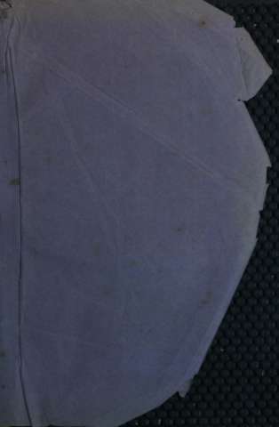 Guarda