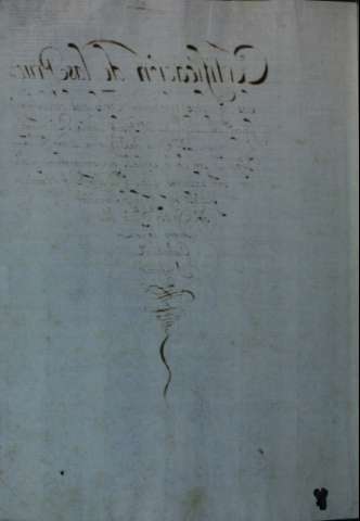 Guarda