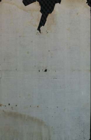 Guarda
