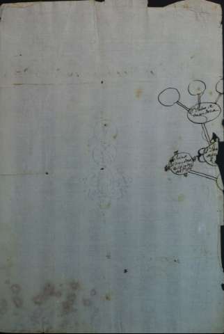 image/jpeg