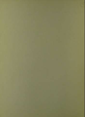 29r